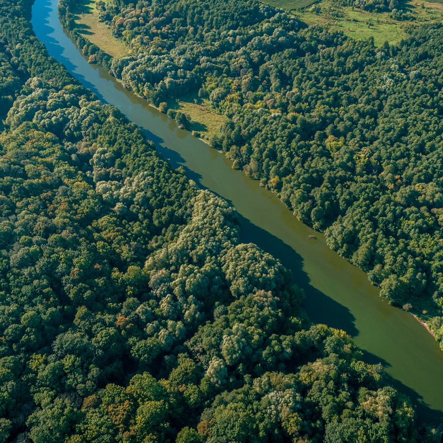 Compra e venda de reserva legal